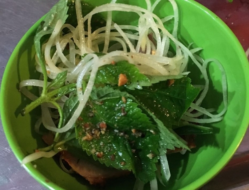 Best Food in Hanoi in 2017